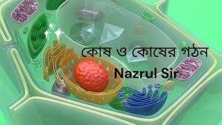 কোষ কী || কোষ কত প্রকার || কোষ এর গঠন || What is Cell || SSC Biology || Equation of Life||Nazrul Sir