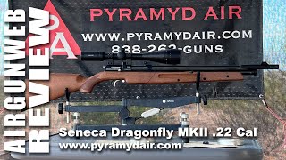 AIRGUN REVIEW - Seneca Dragonfly MKII - .22 Cal, Multi-Shot, Pump Pneumatic, Bolt Action, Review