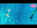 【越南 富國島 ep.3】越南也有迪士尼 超大海龜水族館 l 陸上水上必玩遊樂設施推薦 l 完整閉園秀搶先看~