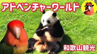 和歌山観光アドベンチャーワールド【CHOIWARUINKO】動物しゃべる