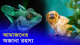 মহাবন আমাজনের অজানা রহস্য ও বিস্ময়কর তথ্য | Amazon Rainforest Secrets in Bangla