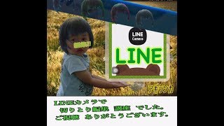 LINEカメラ 　DE　髪色変える【アキランカ作】