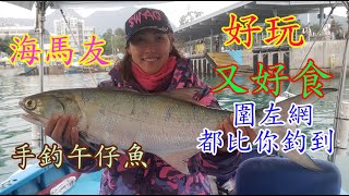 【香港釣魚】《海馬友好玩又好食，圍左網都比你釣到》