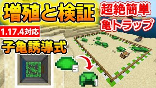 【マイクラ統合版】甲羅のかけら大量GET超絶簡単亀トラップの作り方