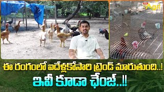 Pandem Kollu Farming | ఈ రంగంలో ఐదేళ్లకోసారి ట్రెండ్ మారుతుంది..! ఇవీ కూడా ఛేంజ్..!! Tone Agri