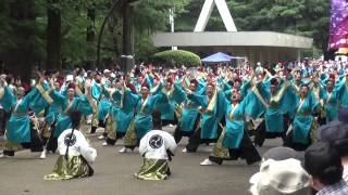 よさこい光が丘2015 ～ 所沢風炎祇神伝～雅～