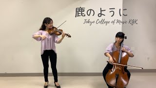 東京音楽大学KGK 鹿のようにカバー