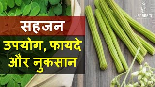 सहजन के फायदे गुण लाभ और नुकसान | sahjan ke fayde | Moringa benefits and side effects in hindi