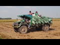 ឡានឆ្នៃដឹកស្រូវ extreme​ produce transportation​ rice amazing produce