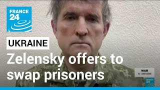 Zelensky offers to swap pro-Kremlin tycoon for captured Ukrainians • FRANCE 24 English