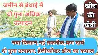 #kheera #farming खीरा की खेती की सम्पूर्ण जानकारी अद्भुत तरीका हैवी उत्पादन, किसी भी सीजन में ..