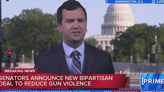 Senators announce new bipartisan framework to reduce gun violence | NewsNation Prime