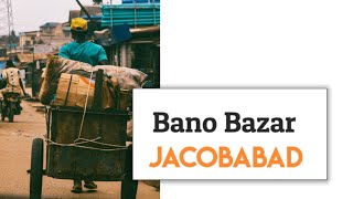 Bano Bazar | Village Vlog | Day 2 | Jacobabad |Shopping Time | The Magical Lab