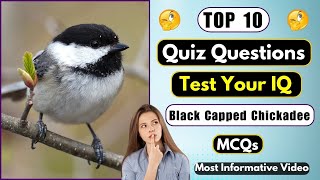 Quiz Time: How Well Do You Know Black Capped Chickadees? Test Your Knowledge! | Helian Gk Quiz