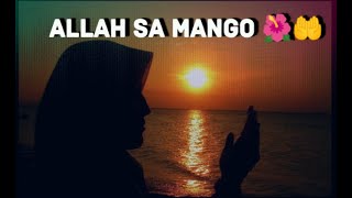 Allah sa mango 🌺🤲 Khubsurat beyan by Hafiz Suleiman | Islamic world | #islam #hafizsuleman #beuty
