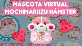 Mochimaruzu/Motchimaruzu Hámster: descripción en español