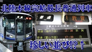 【下りは1日2本しかない北陸本線完結最長普通列車】金沢発敦賀行きを乗り通してみた