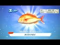 【釣りスピリッツ水族館】ガチャ回したら虹色ゲット