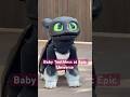 Meeting Baby Toothless at Epic Universe