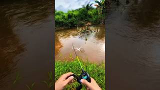 Padahal airnya dagkal ada ikan nya ...l #mancing #fishing