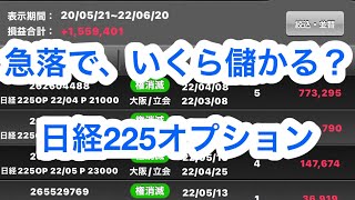 【26】急落で、いくら儲かる？日経225オプション　日経225ミニオプション　素人が、実は1番FIREしやすい！日経225マイクロ先物　日経平均　大暴落　ビットコイン　バイナリー　株　失敗大損レバナス