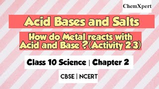 How Do metal React with Acid and Base Activity 2.3 |Clas 10 Science |Chapter 2 Acid Bases and Salt
