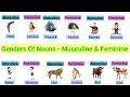 📚✨ Exploring Gendered Language: Masculine ♂️ and Feminine ♀️ Forms 📚✨ | Gender | Vocabulary |