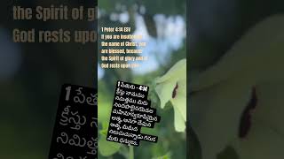 1 పేతురు:4:14. క్రీస్తు నామము నిమిత్తము మీరు నిందపాలైనయెడల మహిమాస్వరూపియైన ఆత్మ, అనగా దేవుని ఆత్మ,