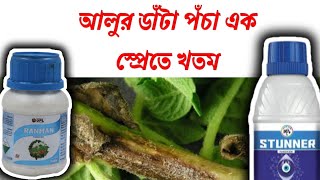 আলুর ডাঁটা পঁচা রোগ | নাবি ধসা | Late blight | UPL Ranman | potato cultivation