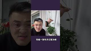 栀子花叶子发黄怎么办！ 栀子花新长的叶子黄的原因是营养不良，可以修剪，施肥。园艺生活 老花医 养花小知识 @老花医热植馆 园艺生活 栀子花