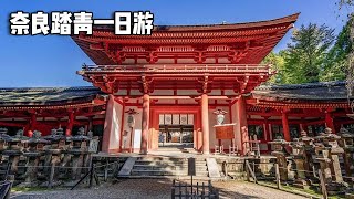 赏樱之旅～奈良踏青一日游，超多古建筑寺庙让人眼花缭乱【行走世界的北京老刘】