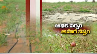 మహబూబ్‌నగర్  జిల్లా ఉద్యానాధికారి  సాయిబాబాతో ముఖాముఖి | 23rd Oct '20 | JaiKisan TS