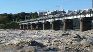 台風１９号 通過翌日の多摩川 ver.1