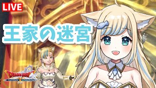 【ドラクエ10】今日からはじめるドラゴンクエストX！王家の迷宮初めてやる！【新人Vtuber/戌妃ぽて】