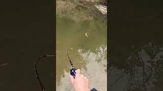 The Most Tiny Fishing Reel and Rod (in the River)