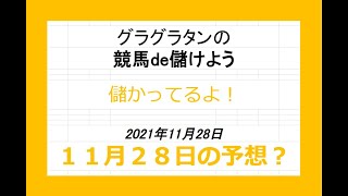 グラグラタンの競馬予想！？　１１月２８日（日）分