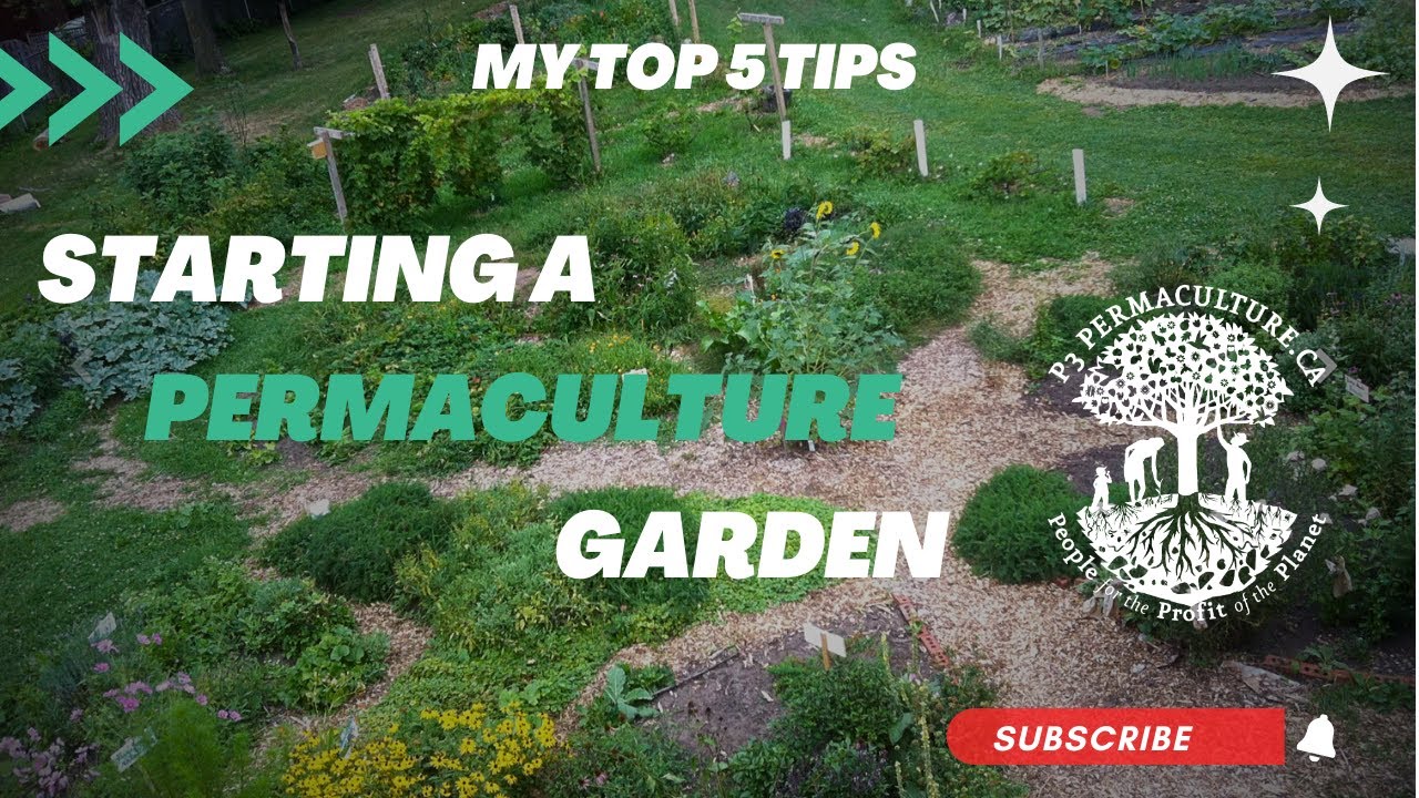 My Top 5 Tips For Starting A Permaculture Garden In 2023 - YouTube