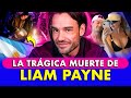 🚨ONE DIRECTION se despide 💔 ¿QUE LE PASÓ A LIAM PAYNE EN ARGENTINA?