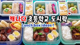 캐나다 학교 도시락ㅣ🍖돼지갈비도 싸줘?ㅣ예쁜 계란말이🧈 ㅣ 돼지갈비 맛있게 굽는 꿀팁!ㅣ얌박스