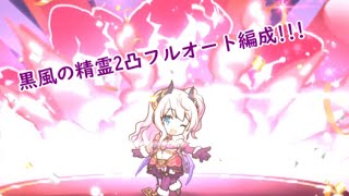 【プリコネR】黒風の精霊SP2凸フルオート編成