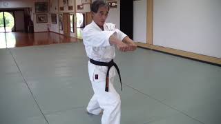 Hirabe Shihan - Kata Kushanku - Shorinjiryu Renshinkan Karate