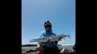 PESCARIA NAS PEDRAS DO MAR : FRENESI DE AGULHÃO NO ROCKFISHING COM DIREITO A PREPARO