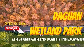 Enjoy the Picturesque View of Daguan Wetland Park in Guangzhou, China | Guangzhou Travel Guide 2023