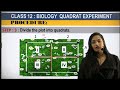 plant population density and frequency by quadrat method 12th biology 2024 top coaching