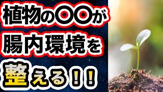 【 必見‼ 】 知らない人が多い植物のアレが腸内環境を整える！？