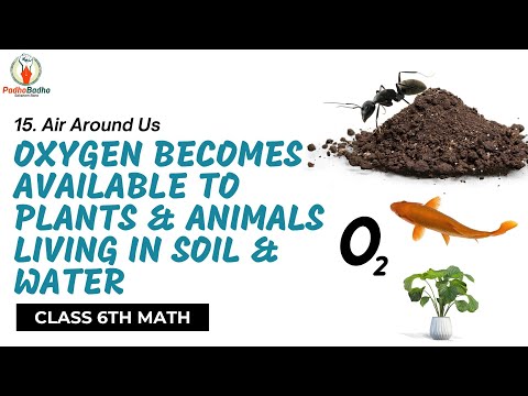 Why is oxygen important in soil?