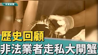 歷史 回顧|非法業者走私大閘蟹 海巡海關合作攔阻