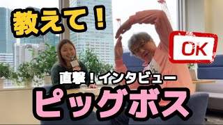 教えて！ピッグボス！【直撃インタビュー】