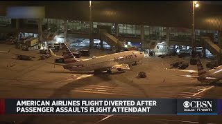 American Airlines Flight Diverted After Passenger Allegedly Assaults Flight Attendant