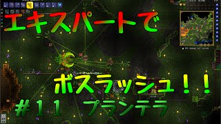 【terraria】エキスパートでボスラッシュ！！＃１１プランテラ【テラリア】